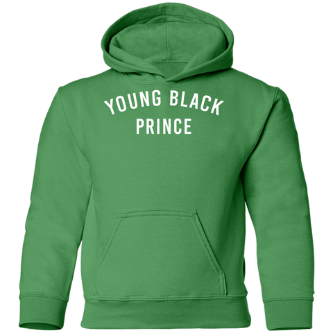 Image of Young Black Prince Youth Pullover Hoodie - DNA Trends