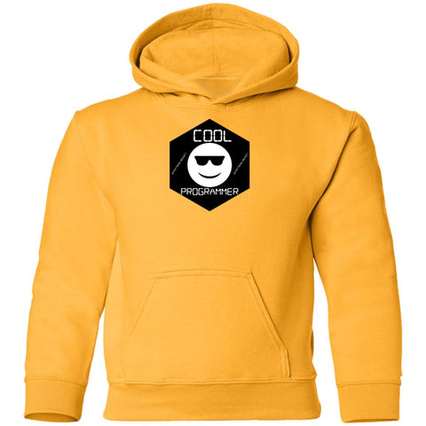 Image of The Cool Programmer  Youth Pullover Hoodie For Techies(Kids)