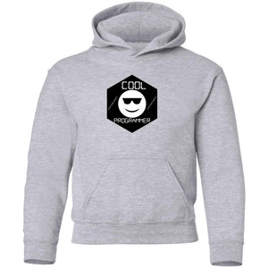 The Cool Programmer  Youth Pullover Hoodie For Techies(Kids)